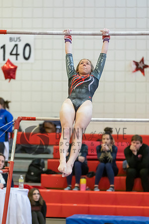 Moon Invitational - bars and beam (93 of 499)