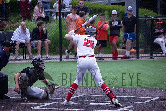 PIAA Quarterfinals (191 of 218)