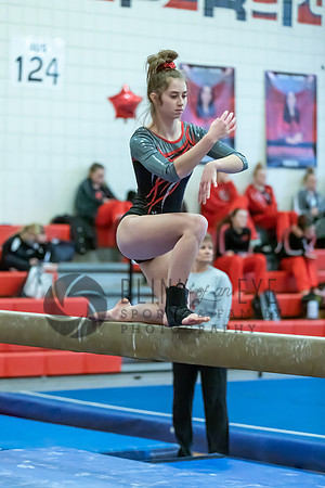 Moon Invitational - bars and beam (263 of 499)