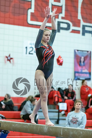 Moon Invitational - bars and beam (312 of 499)