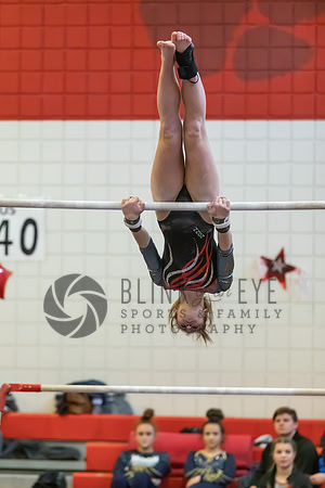 Moon Invitational - bars and beam (112 of 499)