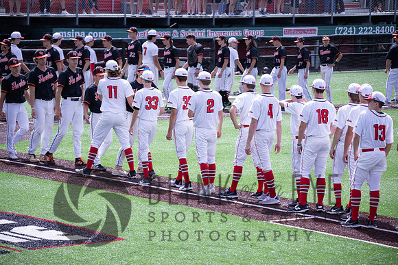 PIAA Quarterfinals (210 of 218)