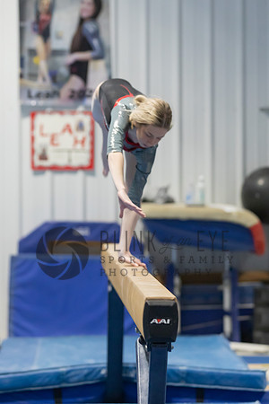 Balance Beam (110 of 213)