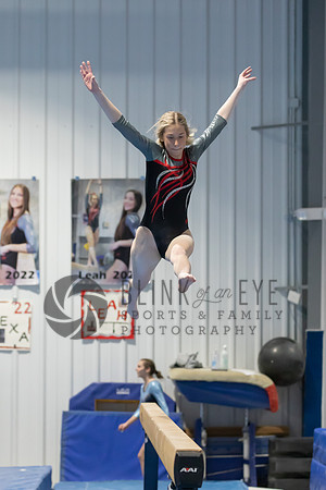 Balance Beam (113 of 213)