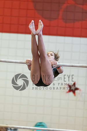 Moon Invitational - bars and beam (193 of 499)