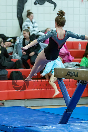 Moon Invitational - bars and beam (454 of 499)