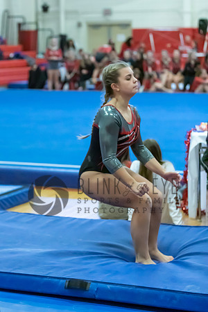 Moon Invitational - bars and beam (373 of 499)