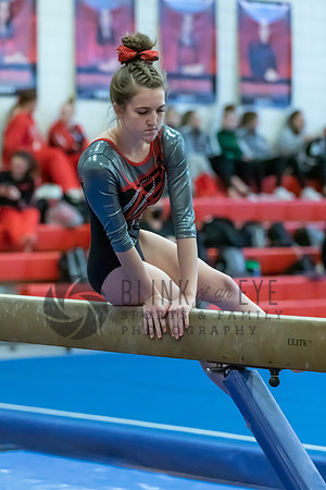 Moon Invitational - bars and beam (433 of 499)