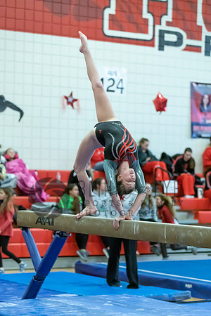 Moon Invitational - bars and beam (444 of 499)