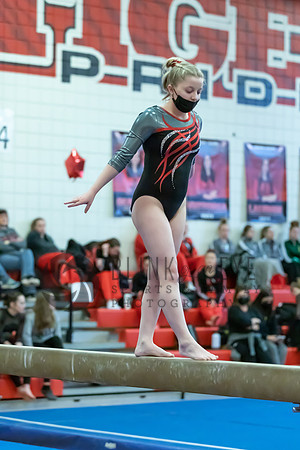 Moon Invitational - bars and beam (462 of 499)