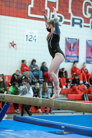 Moon Invitational - bars and beam (480 of 499)