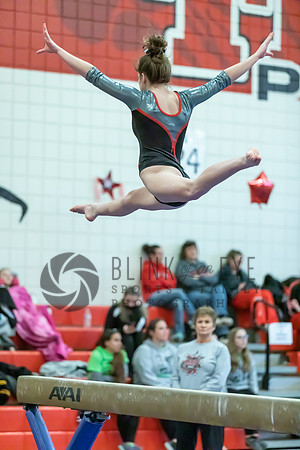 Moon Invitational - bars and beam (447 of 499)
