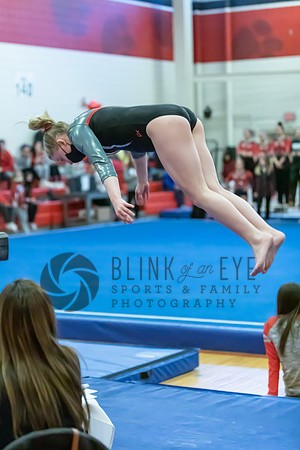Moon Invitational - bars and beam (496 of 499)