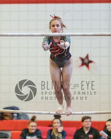 Moon Invitational - bars and beam (19 of 499)