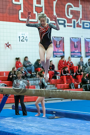 Moon Invitational - bars and beam (412 of 499)