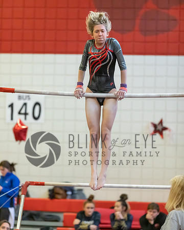 Moon Invitational - bars and beam (95 of 499)