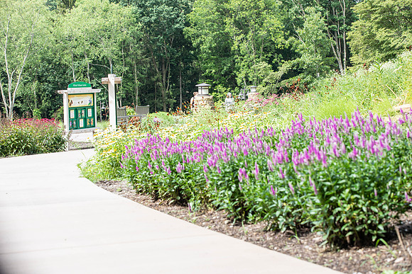 Botanic Gardens (23 of 40)