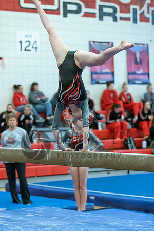 Moon Invitational - bars and beam (405 of 499)