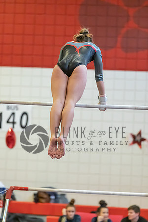 Moon Invitational - bars and beam (66 of 499)