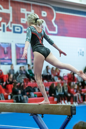 Moon Invitational - bars and beam (409 of 499)