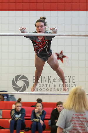 Moon Invitational - bars and beam (72 of 499)