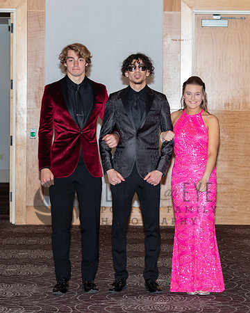 Prom Entry and Court (29 of 492)