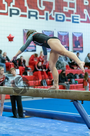Moon Invitational - bars and beam (356 of 499)