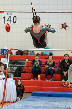 Moon Invitational - bars and beam (175 of 499)