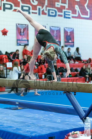 Moon Invitational - bars and beam (490 of 499)
