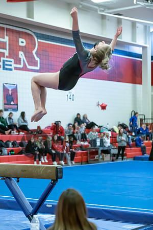 Moon Invitational - bars and beam (493 of 499)