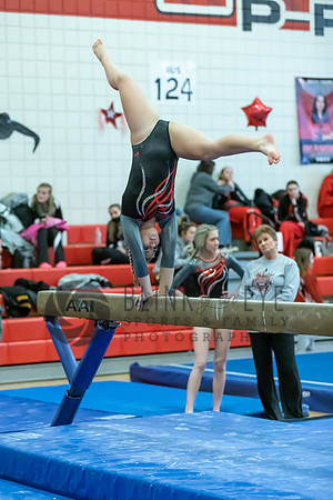 Moon Invitational - bars and beam (348 of 499)