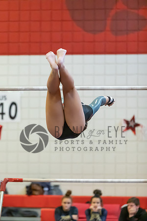 Moon Invitational - bars and beam (54 of 499)