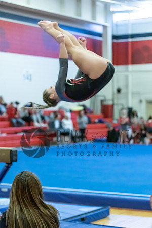 Moon Invitational - bars and beam (370 of 499)