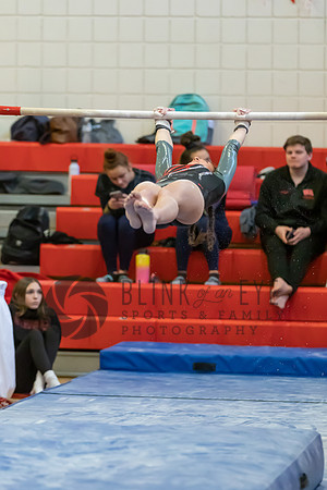 Moon Invitational - bars and beam (155 of 499)