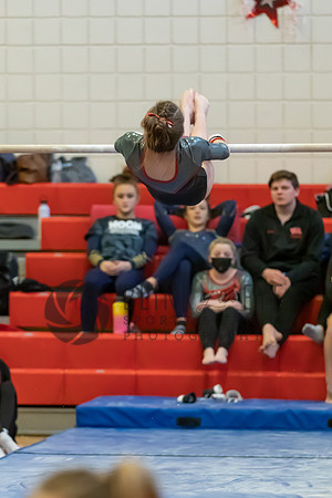 Moon Invitational - bars and beam (180 of 499)