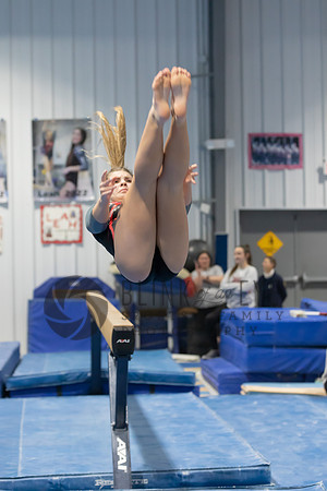 Balance Beam (50 of 213)