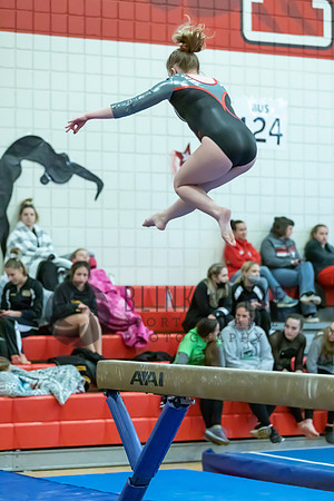 Moon Invitational - bars and beam (484 of 499)