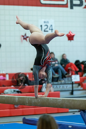 Moon Invitational - bars and beam (219 of 499)