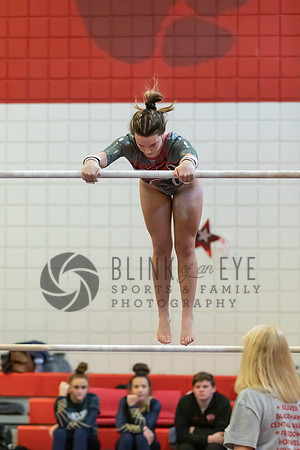 Moon Invitational - bars and beam (76 of 499)