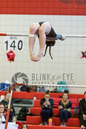 Moon Invitational - bars and beam (165 of 499)