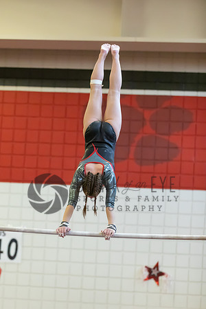 Moon Invitational - bars and beam (164 of 499)