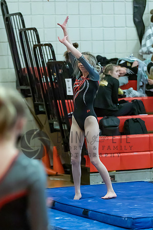 Moon Invitational - bars and beam (429 of 499)
