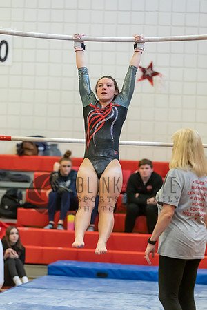Moon Invitational - bars and beam (73 of 499)