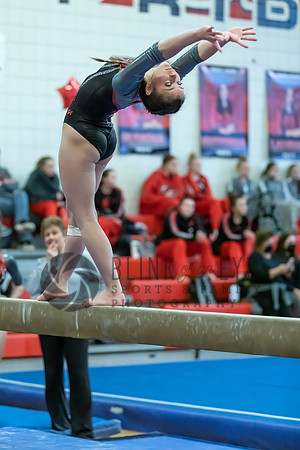 Moon Invitational - bars and beam (385 of 499)