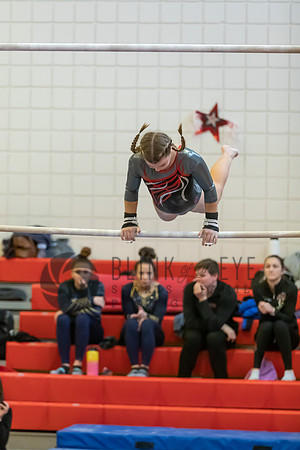 Moon Invitational - bars and beam (37 of 499)