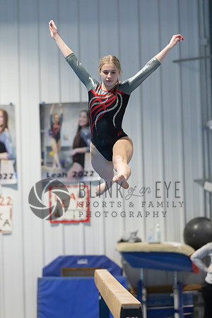 Balance Beam (76 of 213)