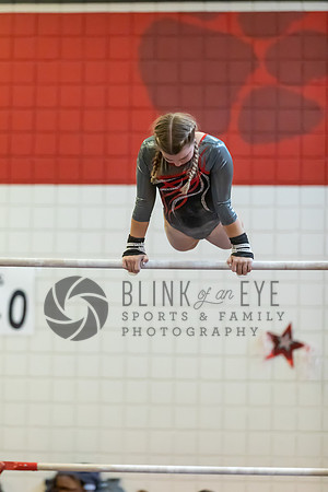 Moon Invitational - bars and beam (51 of 499)