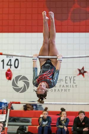 Moon Invitational - bars and beam (65 of 499)
