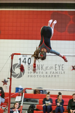 Moon Invitational - bars and beam (8 of 499)