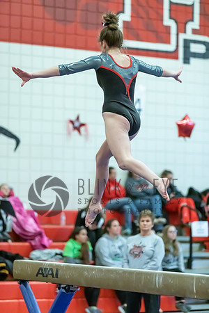 Moon Invitational - bars and beam (446 of 499)